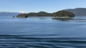 IMG_0162.jpeg