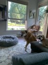 IMG_1350.jpeg