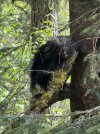 IMG_0142.jpeg