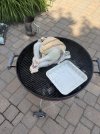 IMG_2543.jpeg