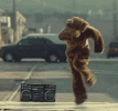 1784467980730.gif 1784467980730.gif