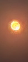 Screenshot_20260731_215318_Gallery.jpg