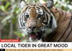 post-game-thread-cincinnati-bengals-philadelphia-eagles-v0-vy3pwl4zc8mh1.jpeg