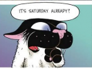 FB_IMG_1776550709918_1776550764468.png