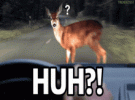 1788630753061.gif
