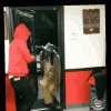 1788662226905.gif