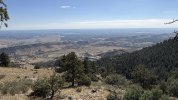 IMG_0355.jpeg