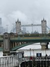 IMG_2736.jpeg