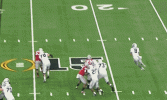 IMG_3428.gif