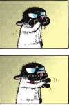FB_IMG_1778761284612_1778761350113.png