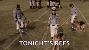 1789265703361.gif