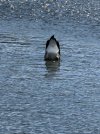 IMG_0364.jpeg