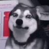 1789837486587.gif