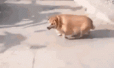 1789844320936.gif