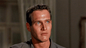 1790478261842.gif
