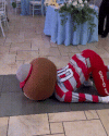 1791671344739.gif