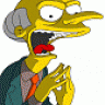 Mr Burns